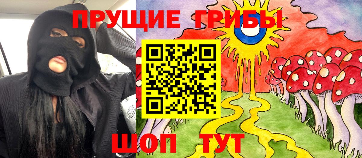 Галлюциногенные грибы мицелий Саянск