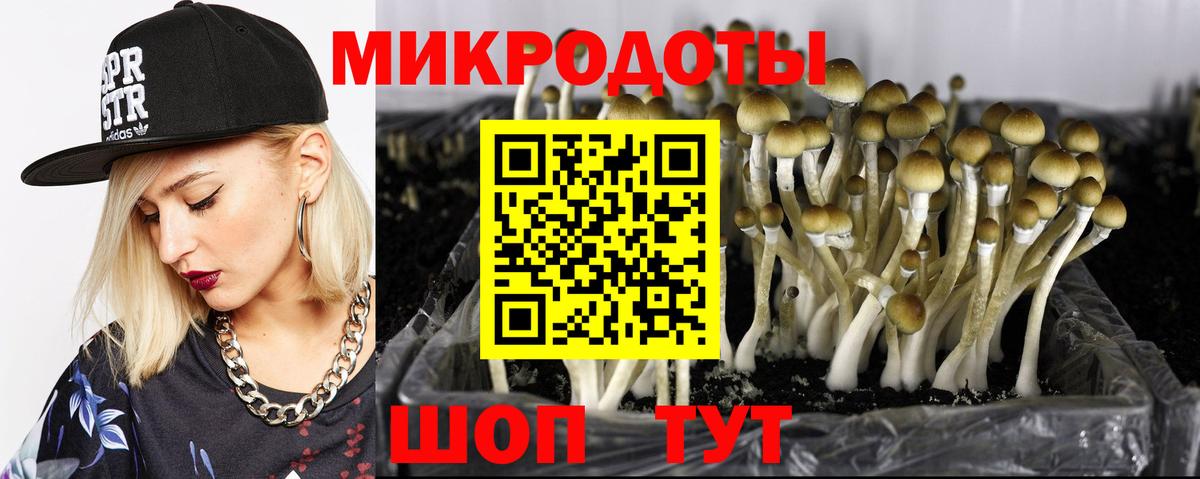 купить наркотики цена  Вход с VPN  Саянск  Галлюциногенные грибы ЛСД 